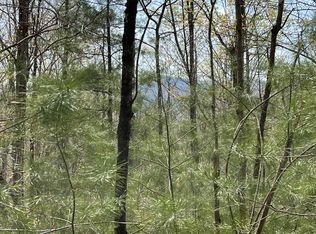 8 Whispering Lake Dr, Blue Ridge, GA 30513