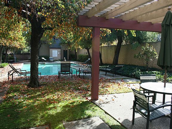 Pool, Jacuzzi and BBQ area