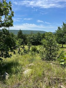 Burris Valley Rd, Pittsburg, OK, 74560