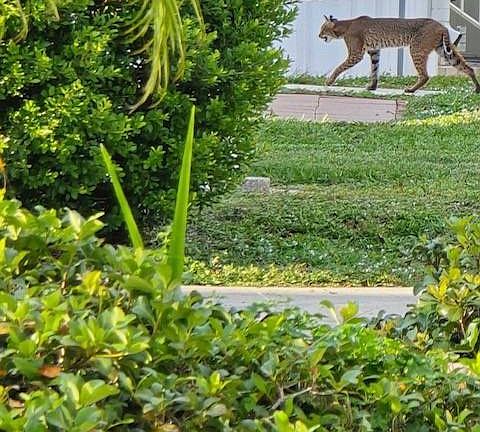 5th image of 47 Oak Ridge Cir