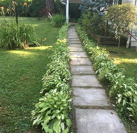 3rd image of 209 Eleanor Dr