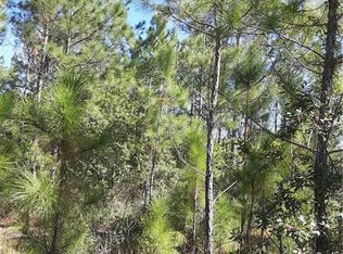 Salyers Rd, Clermont, FL 34714