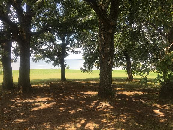 Shade under trees