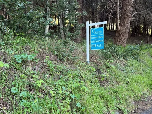 767 Spring Rd Lot 33, Whitethorn, CA 95589