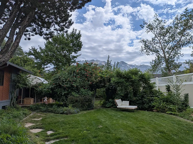 Shared backyard