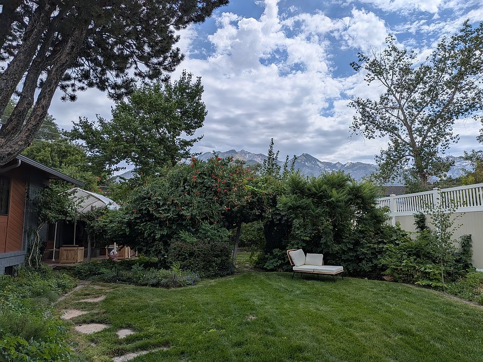 Shared backyard