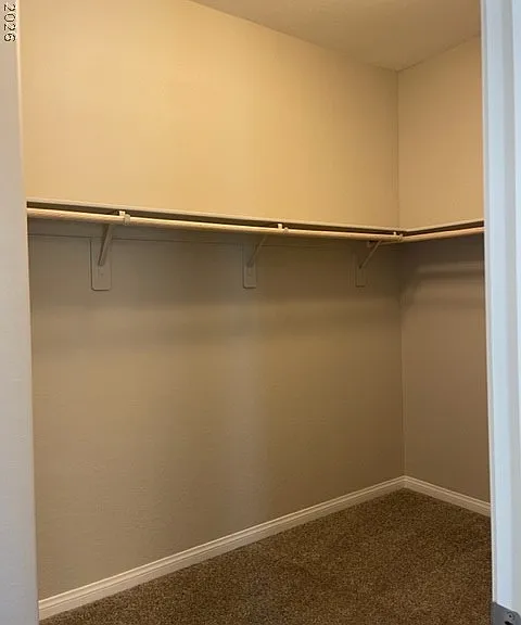 12529 Skylight View St — Photo 25