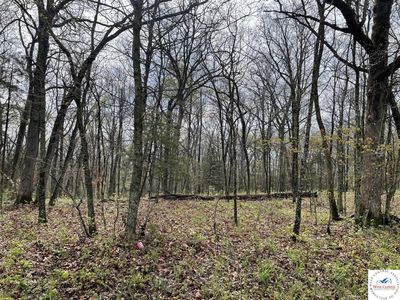 Kullman Rd, Lincoln, MO, 65338