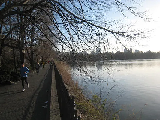 Rented by City Connections Realty | media 5