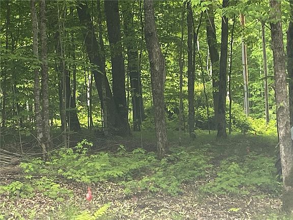 3rd image of 13356 Deer Lake Road