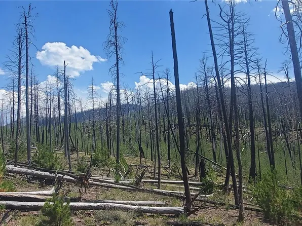 Lot's 854,855 Slaoui Place LOT 854,855, Fort Garland, CO 81133