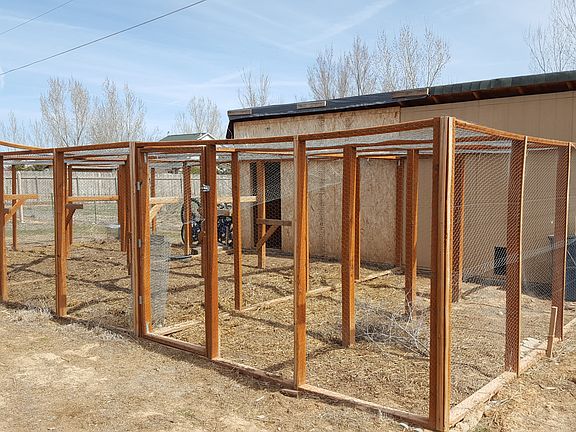 dual chicken coop