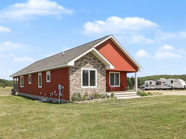 8445 Haines Rd, Alanson, MI 49706
