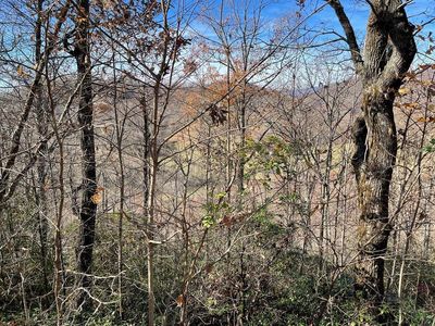 LOT-31J Ashe Branch Dr, Hayesville, NC, 28904