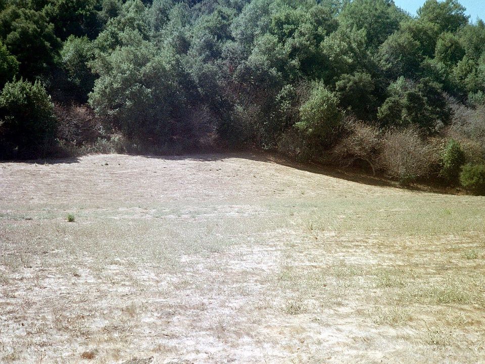 Level Area to Build