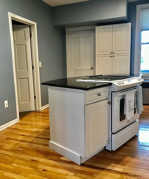 1346 W Diversey Pkwy #2 — Photo 8