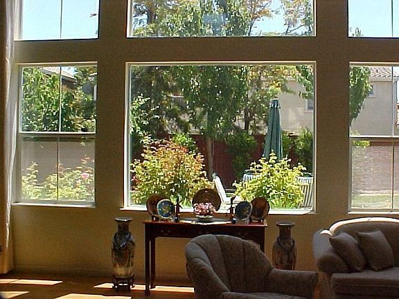 View to Backyard