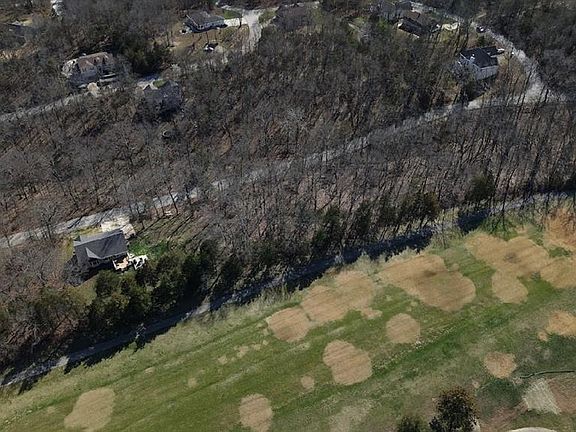 2nd image of 9577 Bent Tree Dr