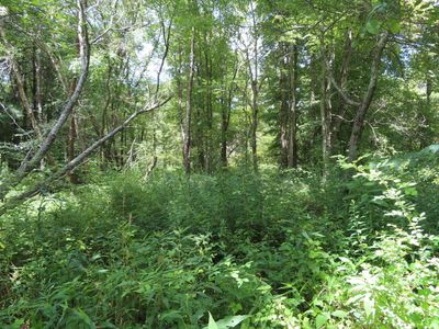 0 Petersburg Rd, Jackson, OH, 45640