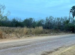 312 E Dolphin St, Roma, TX 78584