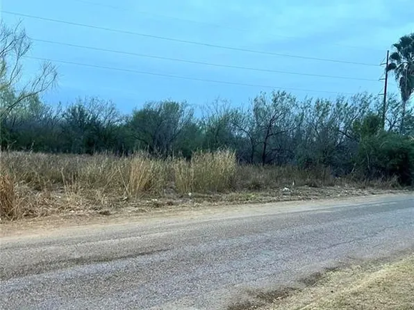 312 E Dolphin St, Roma, TX 78584