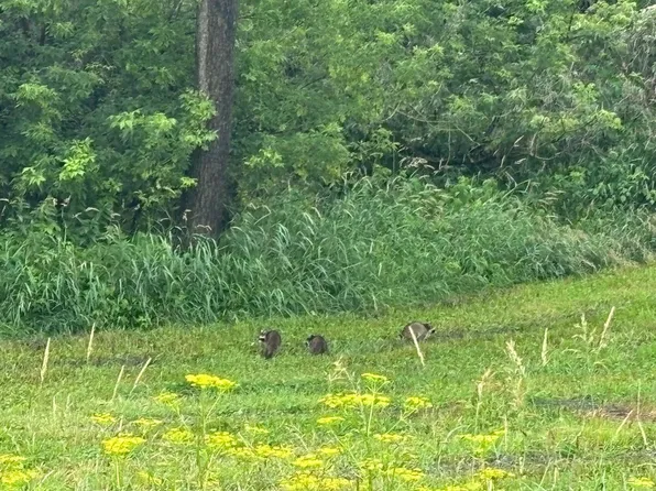 0 OAK AVENUE SOUTH South, West Salem, WI 54669