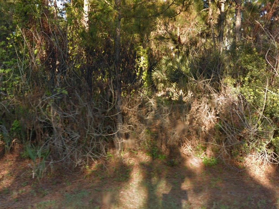 2nd image of 3347 Monteverde Ave SW