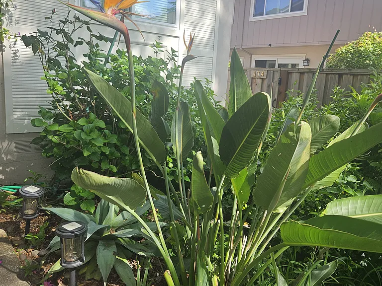 Miramonte Dr — Photo 12