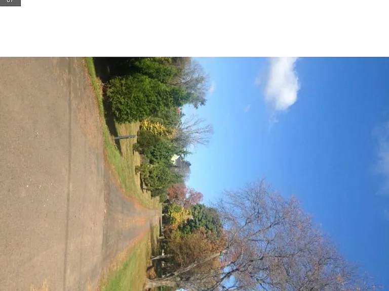 5253 Upper Mountain Rd — Photo 19