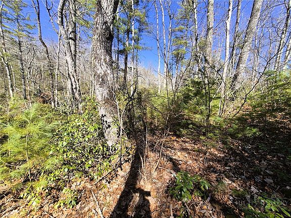 5th image of Lot 35 Smoke Rise Path