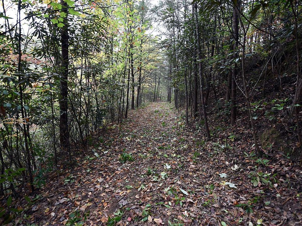 2nd image of McLean Rd