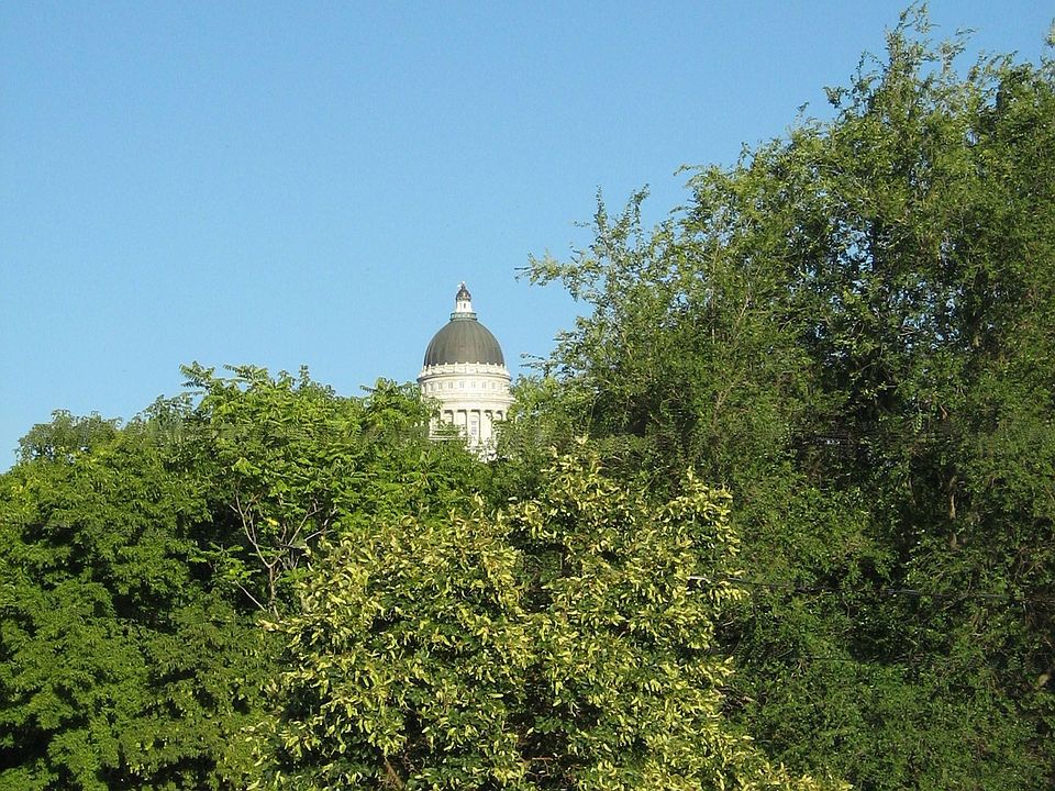 Terrace View on Capitol