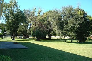 BACK YARD