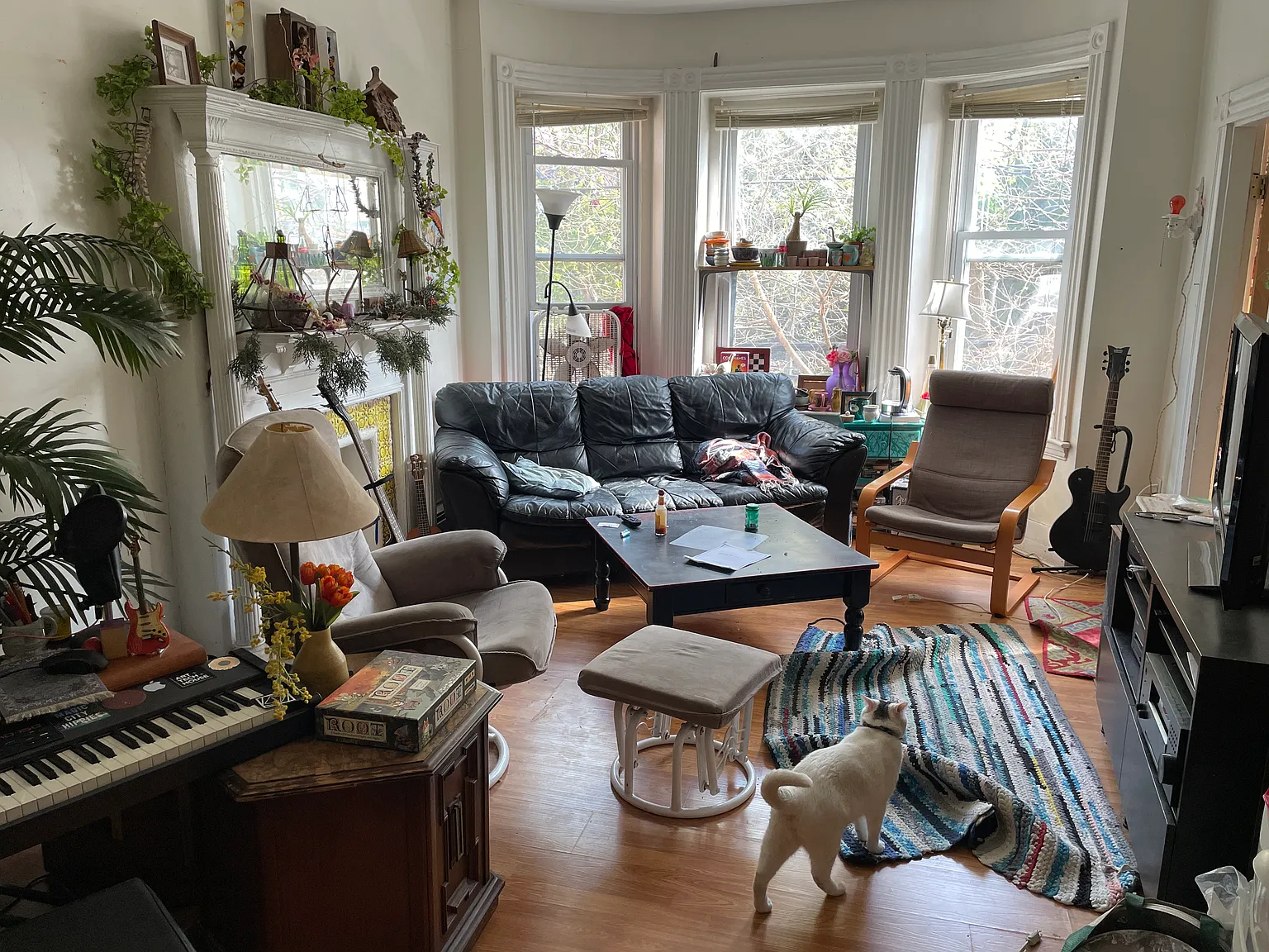 4 bed, 9999 sqft, $5,000 — Photo 1