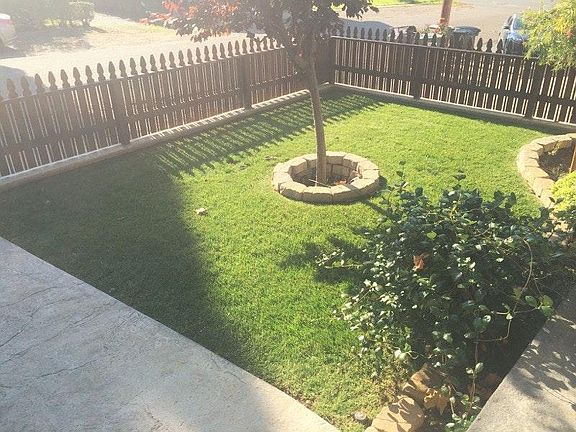 Front Yard