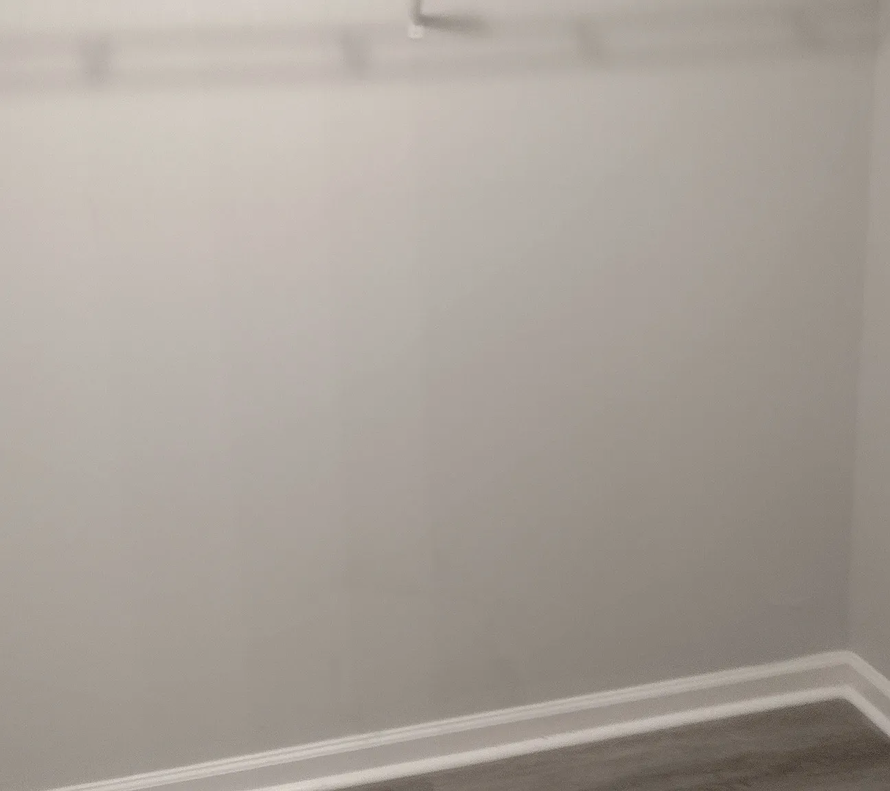 1 bed, 1.0 bath, 1500 sqft, $255 — Photo 3