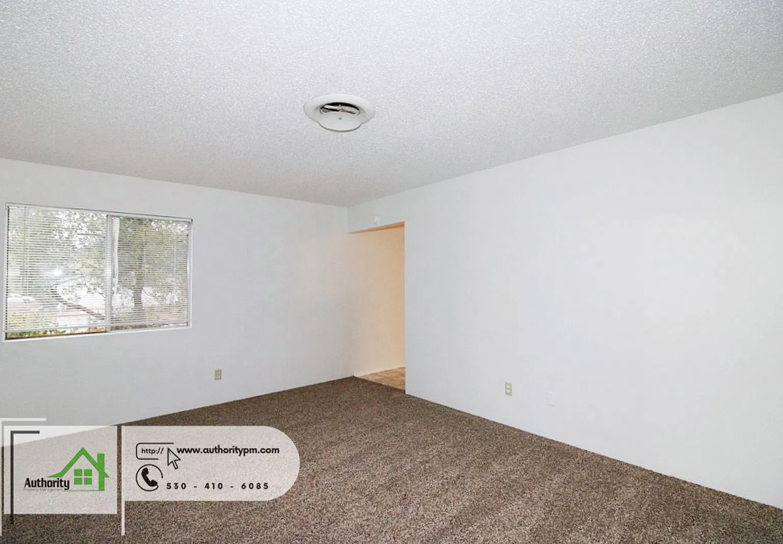 2 bed, 1.0 bath, 850 sqft, $1,350 — Photo 3