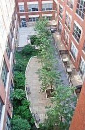 3rd image of 1735 N Paulina St APT 421