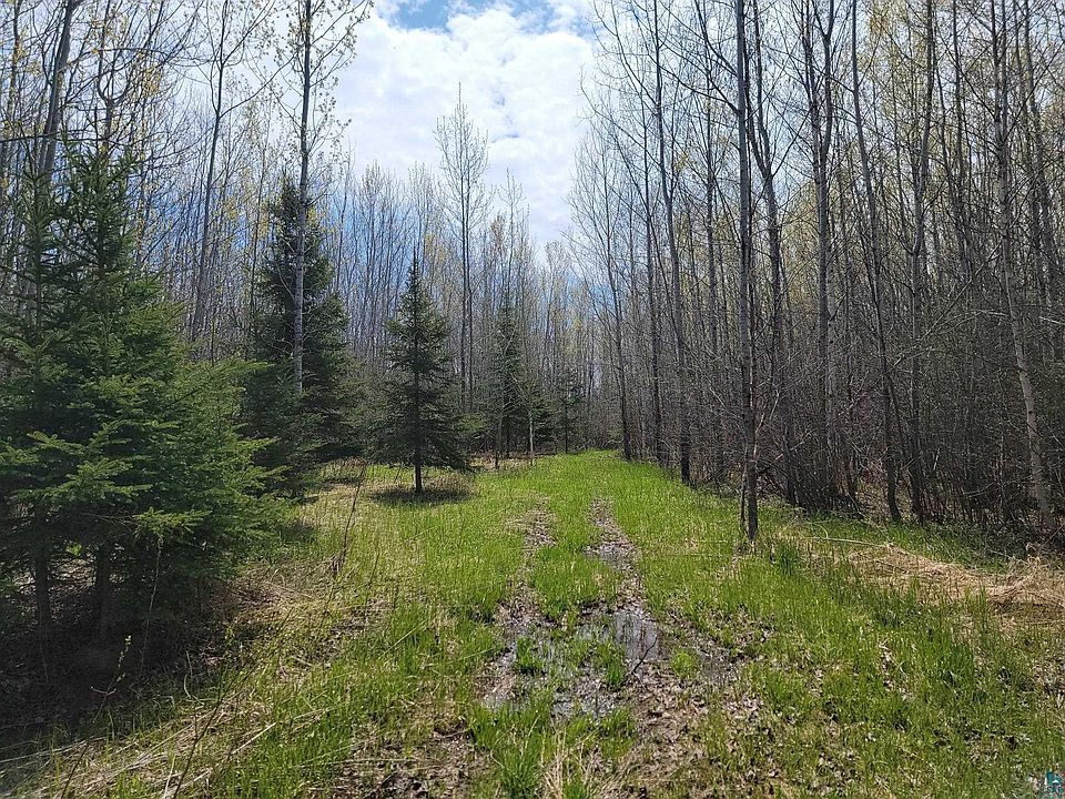 1st image of 80X Sled Dog Trl