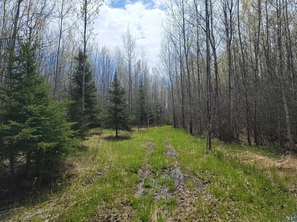 80X Sled Dog Trl, Hovland, MN 55606
