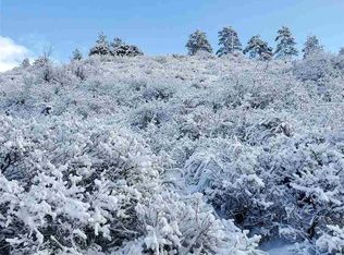 154 Echo Ln, Pagosa Springs, CO 81147