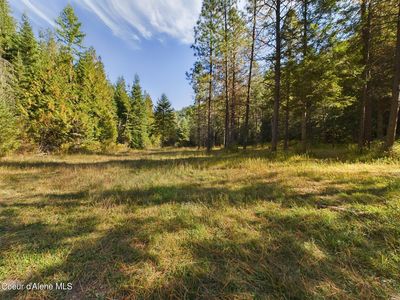 2905 Bear Creek Rd, Kingston, ID, 83839