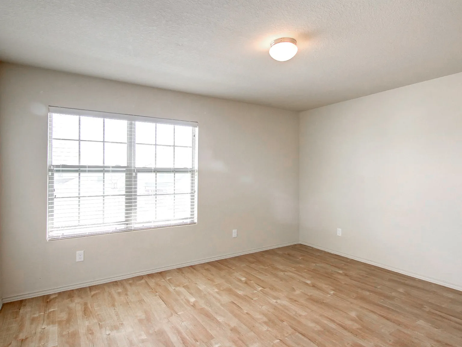 Ashley Heights — Photo 4