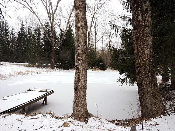 Front pond