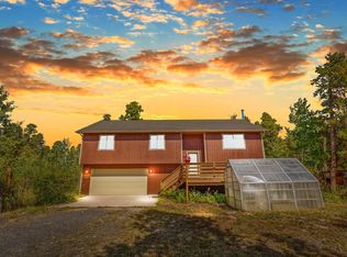 4 Gap Rd, Black Hawk, CO 80422
