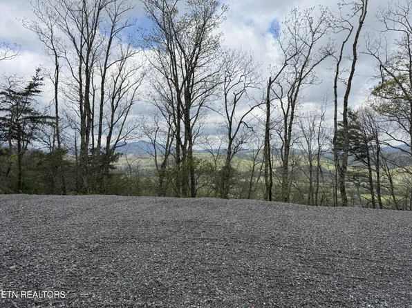 3.93 Green Forest Rd, Cosby, TN 37722