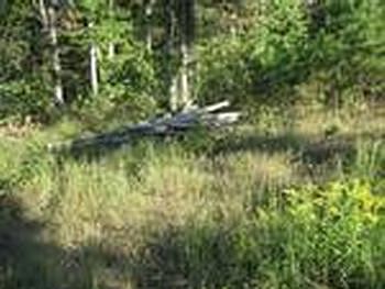 Photo of Mobile Home Lot