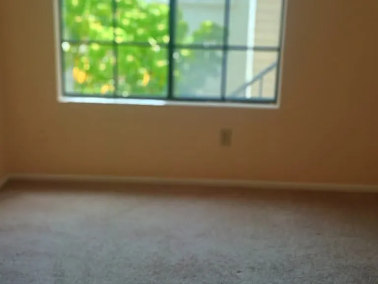 8513 Summerdale Rd #306 — Photo 8