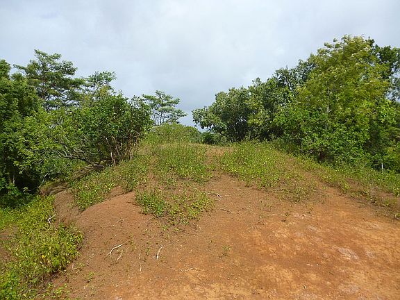 Central Knoll with Views