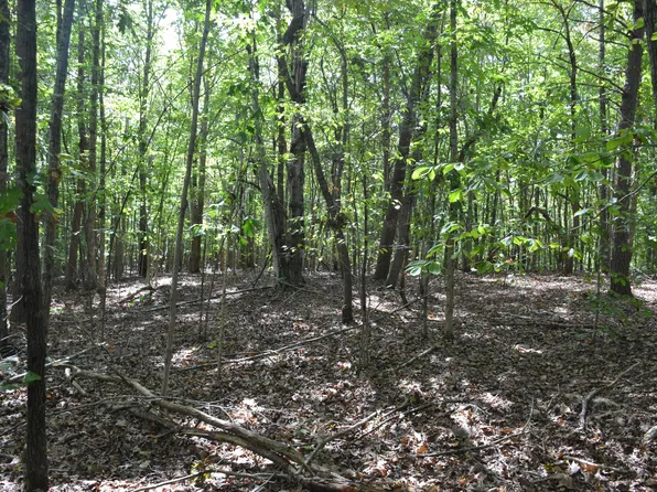 0 Sun Dance Dr, Lynchburg, VA 24504